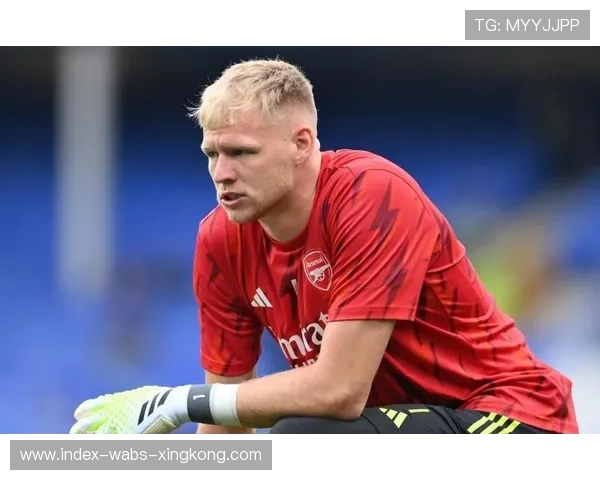 阿森纳拉姆斯代尔超强反应扑救成为关键一幕